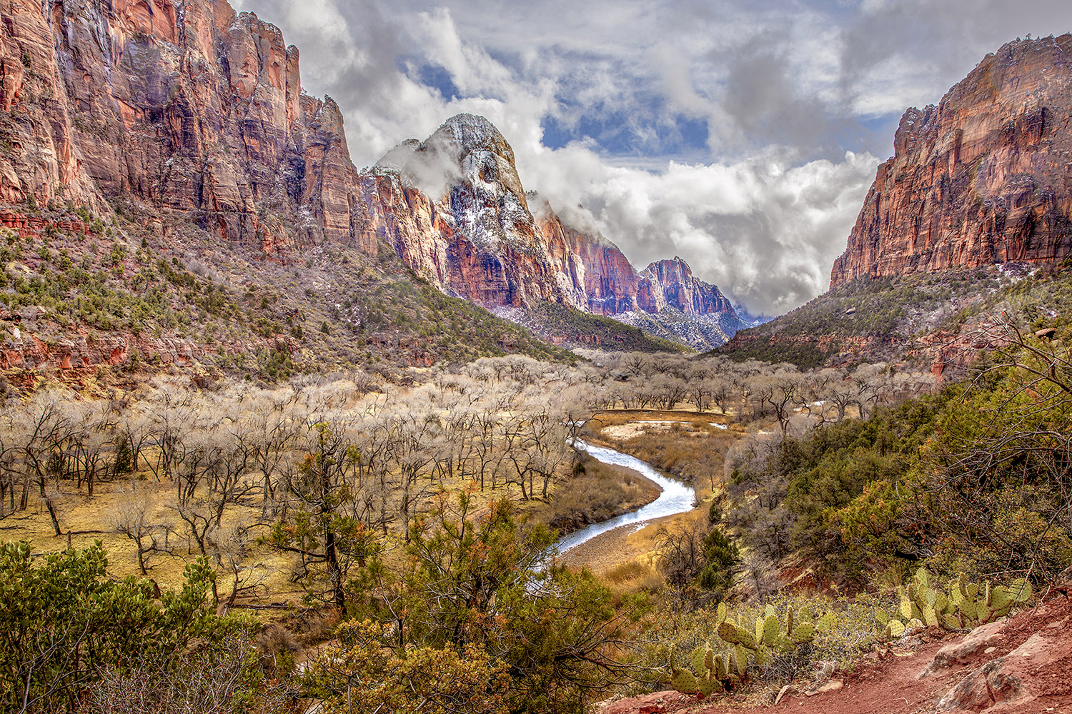 Zion Late Afternoon by Sue Peri (Group 8)